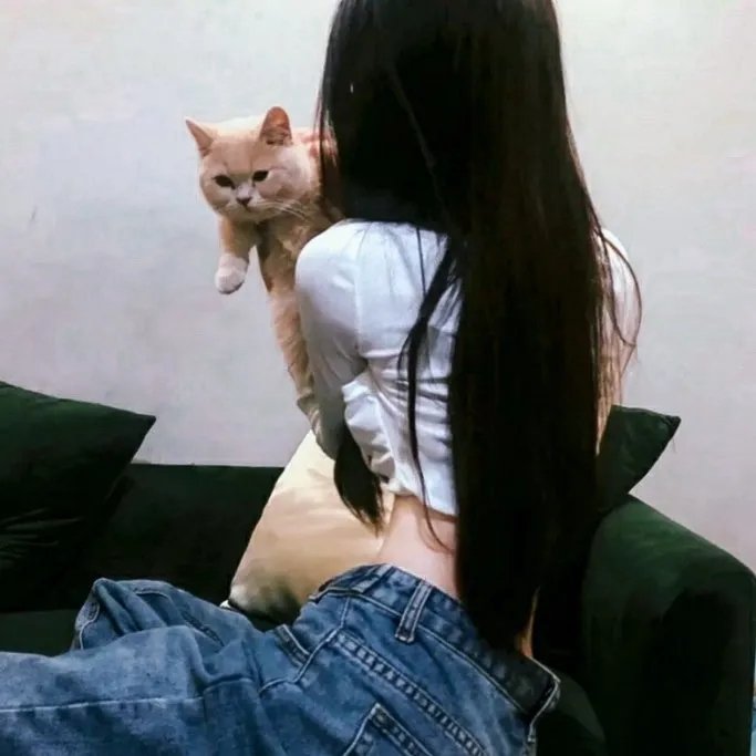 自由鸟